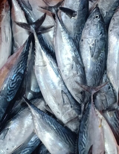 A fresh morning haul of whole fish on ice, ready for bulk orders